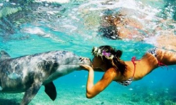 Catty desde la Isla Cozumel, nadando con delfines