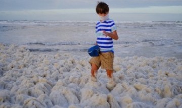 Insólito: sorpresa por la aparición de espuma abundante en las playas de Mar del Plata