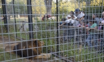 Cada vez más jóvenes se manifiestan contra los zoológicos