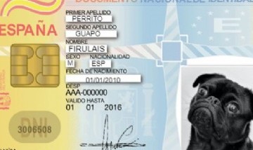 En España los perros y gatos pasarán a tener DNI a partir de 2022