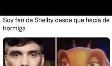 @memes_random._