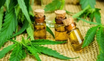 A favor del cannabis medicinal