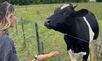 "Le dije que la amo": la promesa que Jimena Barón le hizo a una vaca en la ruta