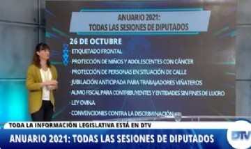 Las leyes que marcaron el año parlamentario en la Cámara de Diputados