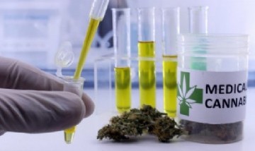 Cannabis medicinal: diplomatura otorgará fundamentos científicos a los profesionales