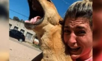 Su perro estuvo 100 días perdido y tras encontrarlo tuvo un conmovedor encuentro que se volvió viral