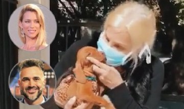 Los famosos vs Susana Giménez: Critican a la diva por devolver a su perrita recién adoptada