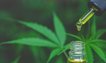 Cannabis medicinal: la Corte ordenó que una obra social lo provea a un niño que padece epilepsia refractaria