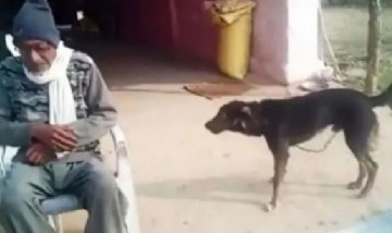 Viral: decepcionado de sus hijos, un hombre le dejó la herencia a su perro: "Él me quiere más"