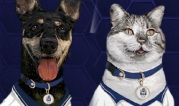 Gimnasia y Esgrima La Plata, un club donde las mascotas cobran protagonismo