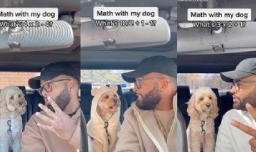 Conoce a Luna, la perrita viral que resuelve problemas de matemáticas y ecuaciones simples