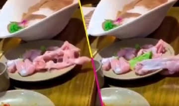 Pollo zombie se escapa del plato