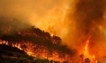 La noticia de la que nadie habla: Los incendios ya afectan a 14 provincias