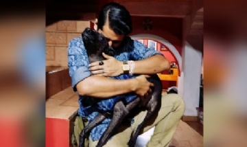 Yoalli y Xolo desde Tláhuac, México.