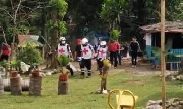 Una mujer intentó sacarse una selfie y un jaguar le destrozó el brazo