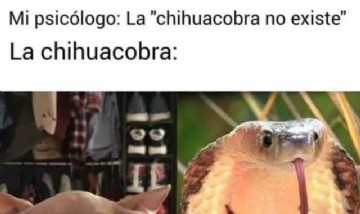 @memes_random._