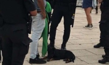 Video: Le pegaba a su cachorro y un grupo de turistas se lo compró para salvarlo