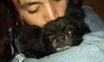 Bar y Noah. Rojas, Buenos Aires.