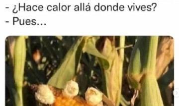 @memes_divertidoss