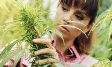 Cannabis y ansiedad: Cómo el consumo de la planta puede ayudar reducir los síntomas