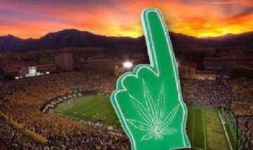 Estudios revelan que el cannabis legal podría generar más ganancias que el fútbol americano