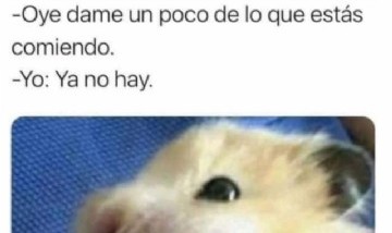 @memes_random._