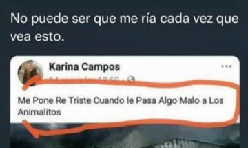 @hablamedememes