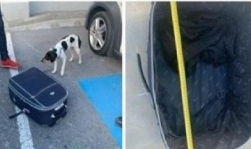 Un hombre intentaba viajar con su perro escondido en una valija sin ventilación