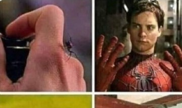 @memes_divertidoss