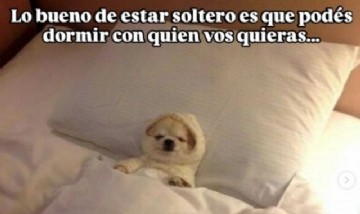 Soltero en invierno