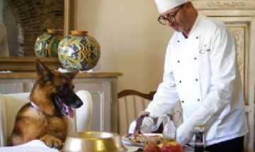 "Gunther, el perro millonario": ¿cuánto dinero tiene el animal que inspiró la miniserie de Netflix?