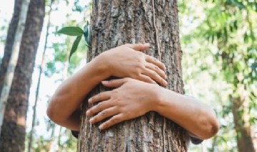 A lo Maratea: pide donaciones para plantar un millón de árboles