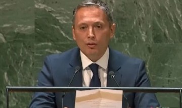 El intendente Fernando Gray en Naciones Unidas: "Es un orgullo"