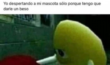 @memefeos