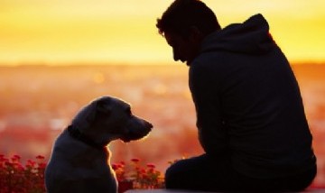 Ciencia: pruebas del misterio de la relación entre perros y los seres humanos