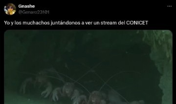 Twitter se inundó de comentarios, memes y fotos sobre el streaming del CONICET