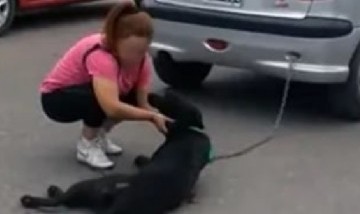La justicia condenó a la mujer que arrastró a su perro con su auto y tendrá un ejemplar castigo