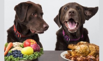 La lista de los alimentos más nocivos y peligrosos para la salud de nuestros perros