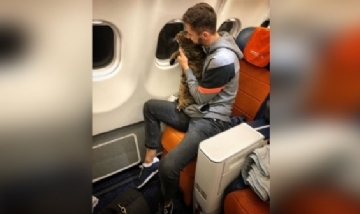 Ingenioso plan para "meter" su gato en la cabina del avión