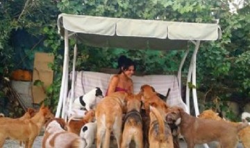 Dico, el perro que estuvo perdido por 7 años, volvió a su casa