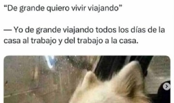 ¿Viajar?