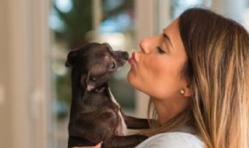Los besos de perro pueden contagiar una superbacteria letal para los humanos