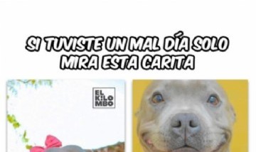 @el_kilombo
