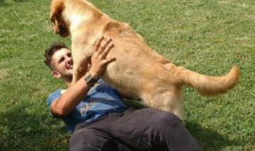 Nico y Su Perrito, Buenos Aires