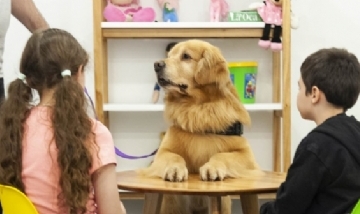 Titán, el perro que acompaña a chicos que deben declarar