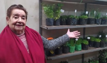 La abuela de 89 años que se volvió influencer de plantas durante la cuarentena