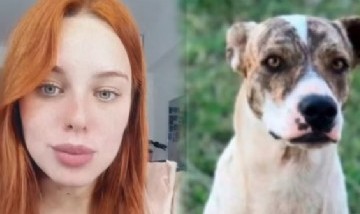 El dolor de Coti de Gran Hermano por la muerte de su perro en un accidente