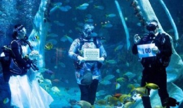 Impresionante: Una pareja de buzos británicos se casó con tubos de oxígeno bajo el agua