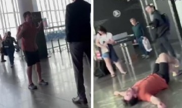 Una aerolínea perdió a sus 4 perros y la reacción del dueño se hizo viral