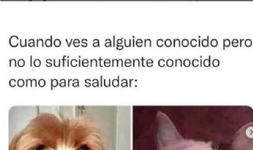 memes_divertidoss_2.0